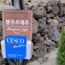 스테이안끄레 네이버블로그