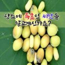 🍐 당뇨에 특효인 씨앗을 알고계신가요?​ 이미지