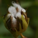 조암초등학교 이미지