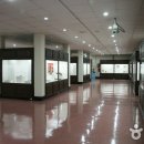 강원대학교 중앙박물관 이미지