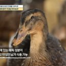 도해식품 이미지