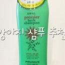 제이제이(JJ)사료 이미지