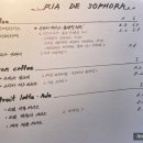 리아드소포라