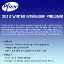 한국화이자제약 채용 정보ㅣ한국화이자제약 - 2013 Winter Internship Program 참가자 모집 이미지