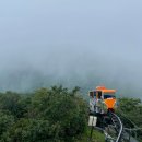 농월초계탕 | [경남/함양] 함양에서 케이블카 타고 초계국수 호로록~ 농월초계탕