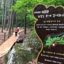 산림생태문화체험단지 네이버블로그