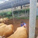 선진산업 이미지