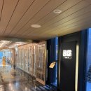 제주 펠리스 | 제주| 브런치 로얄 솔직 후기+본보이 꿀팁! [JW 메리어트 제주 아일랜드 키친]