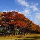 경춘선 자전거도로6 이미지