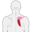안아픈세상의원 이미지