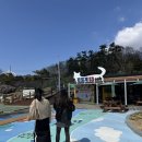 진도개 53카페 이미지