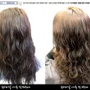 원더파마