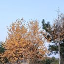 반달근린공원 네이버블로그