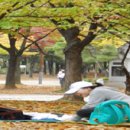 땅공원 이미지