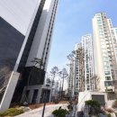 호계초등학교 | 평촌 트리지아 아파트 임장! 시세, 학군, 25평 33평 평면도, 입지 총정리