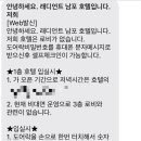 래디언트 남포 이미지