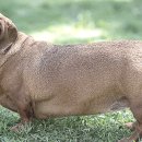 수명농장 이미지