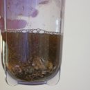 나는어부다 참전복 이미지