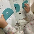 차차네 유치원 | 5세 수학공부 시작, 유치원준비 전집으로 선택한 그레이트북스 수학공룡 (45개월 실제후기)