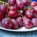 안산시농업기술센터 이미지