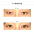 지세스성형외과의원 이미지