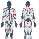 다시 움직임 PT&PILATES 이미지