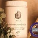 럭셔리로즈 이미지