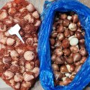 광대경로당 이미지