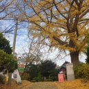 경암철길마을 관광안내소 이미지