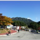 화왕산 Daum카페
