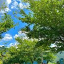 청도한우갈비 이미지