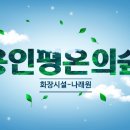 용인원스톱 서비스센터 이미지