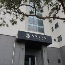 AVVIO헤어(아비오) | 강릉 아비오 호텔, 조용하고 한적한 솔숲 바다뷰