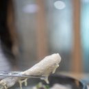 아리아 영계백숙 왕갈비탕 이미지