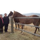 부경목장 이미지