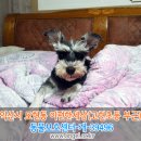 고현초등학교 이미지