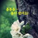 아지랑이 이미지