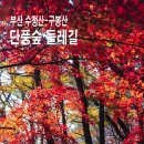 부산 수정산~구봉산 둘레길~숲또랑길(숲안길) 단풍트레킹 이미지