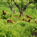 이상진농장 이미지