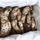 송이버벗 이미지