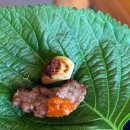 미락장어 | 고양시 덕양구 장어맛집 [장어미락] 1kg 47000원 풍천민물장어 직판장 내돈내산