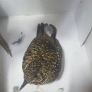 연원1길 6, (연수동) 이미지