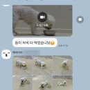 개러리아 이미지