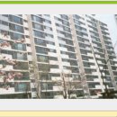 하단동204 이미지