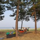 봉수대오토캠핑장 이미지