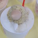 또와 | 울진 디저트 맛집 또와젤라또 후기 - 수제 젤라또