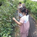 소요초등학교 이미지