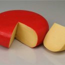 비비바라 이미지