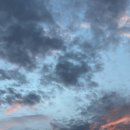 내가 만든 쿠키 이미지