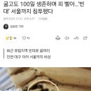 굶고도 100일 생존하며 피 빨아…‘빈대’ 서울까지 침투했다 이미지